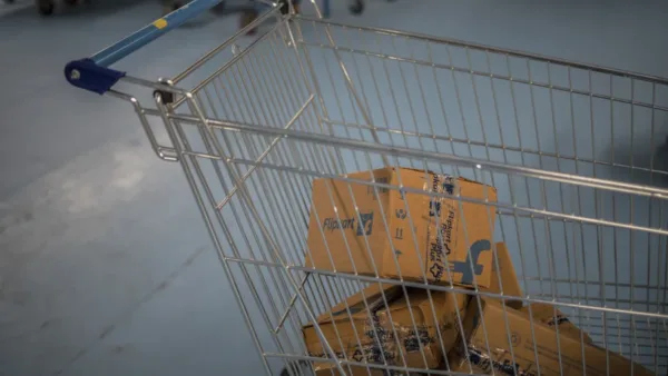 Gemini uygulamasında Flipkart ürün alışveriş ekranı