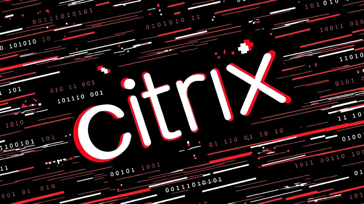 Citrix NetScaler sunucu ve ağ güvenliği görseli